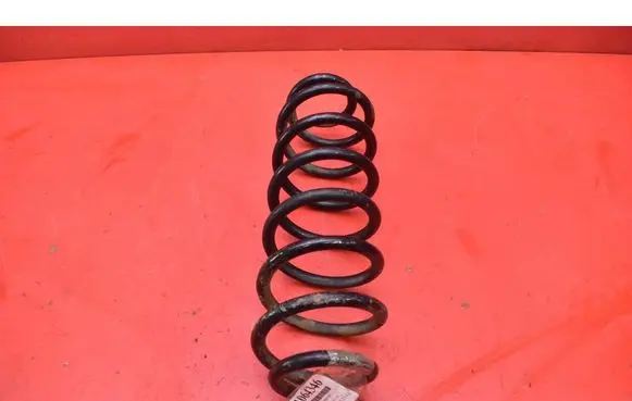 Volkswagen PASSAT B6 Rear coil spring 