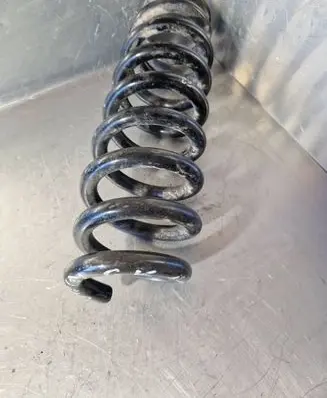 Rear coil spring