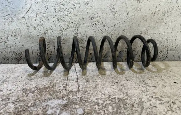 Renault Megane II Rear coil spring