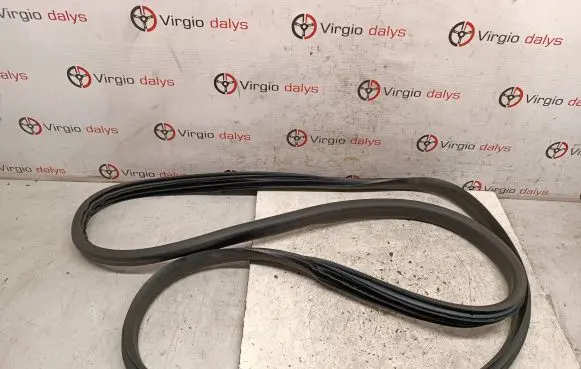Renault Captur Front door rubber seal 
