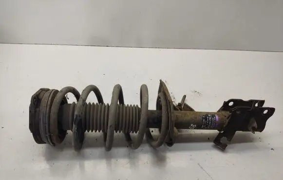 Nissan Qashqai Front shock absorber with coil spring 54300JD73A 540602JD000 824903003492