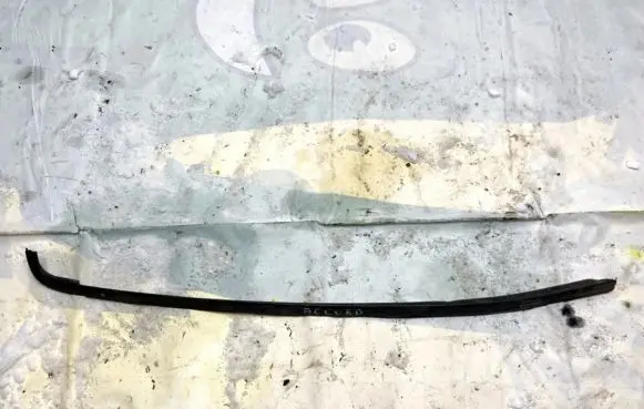 Rear door glass trim molding
