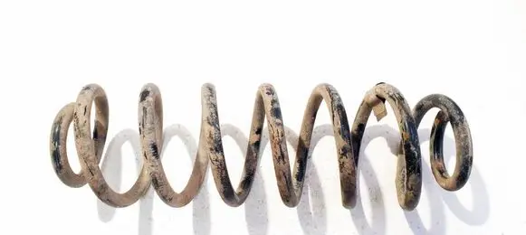Volkswagen PASSAT B6 Rear coil spring 