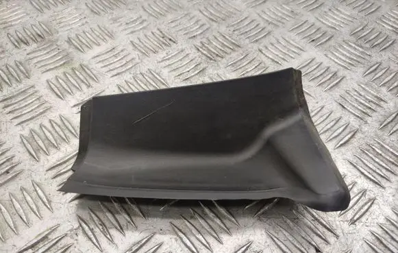 Rear/tail light trim molding