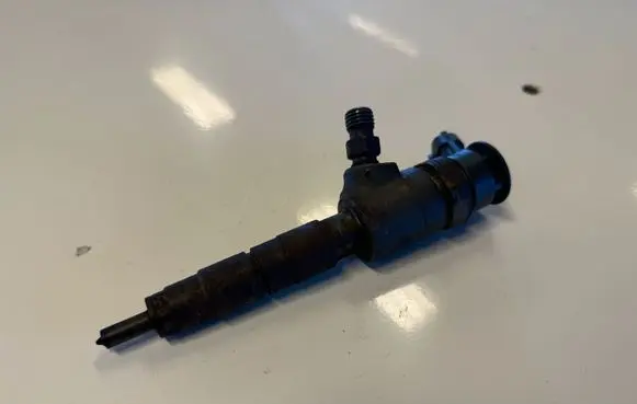 Peugeot Partner III Fuel injector 0445110340