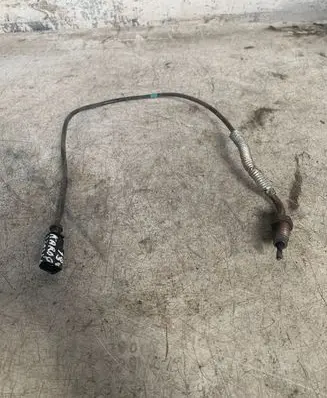 Skoda Karoq Exhaust gas temperature sensor 1j0973602