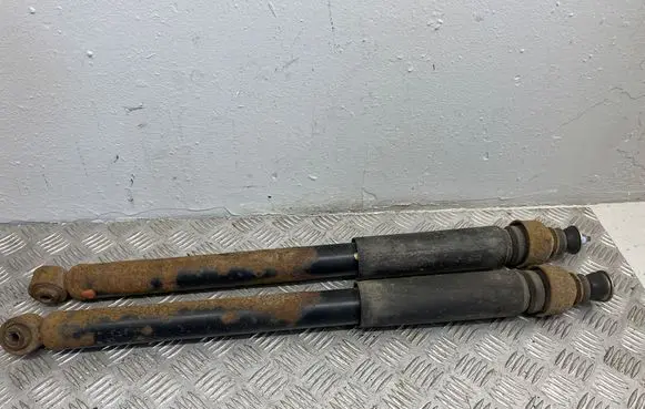 Nissan Juke I F15 Rear shock absorber/damper 
