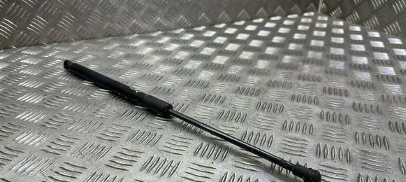 BMW 1 F20 F21 Tailgate/trunk strut/damper 51247239871