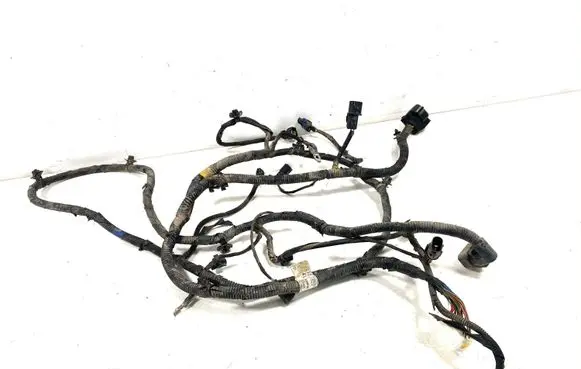 KIA Sorento Front door wiring loom 918102P141 100318
