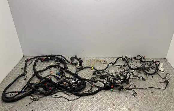 Maserati Quattroporte Other wiring loom 208696 40173 208505