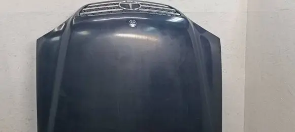 Engine bonnet/hood