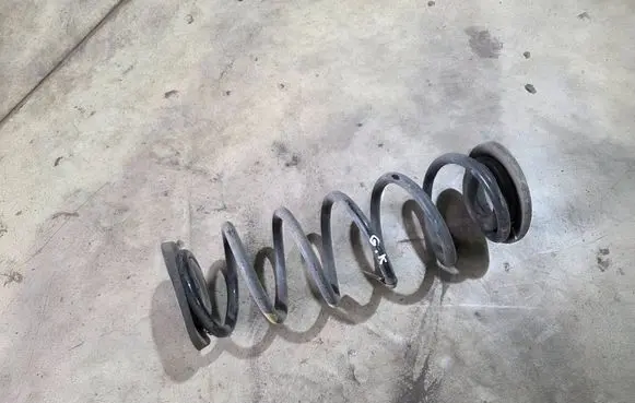 Rear coil spring