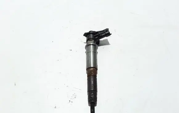 Renault Latitude (L70) Fuel injector 7701478969