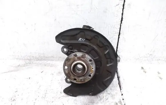 Volkswagen Golf VIII Front wheel hub spindle knuckle 5Q0255P