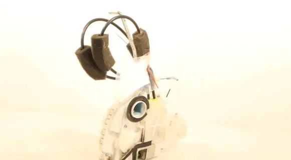 Honda Accord Front door lock 8520