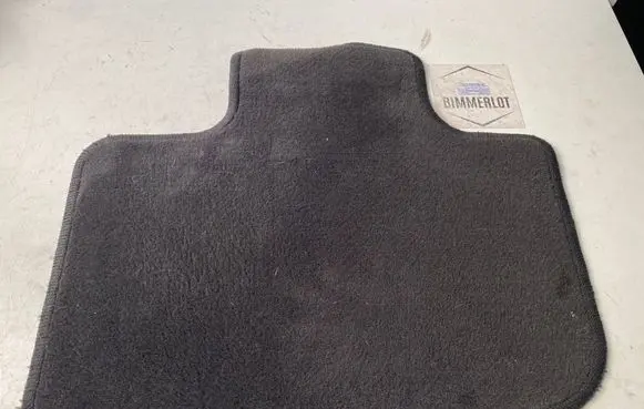 Dodge Charger Rear floor mat 42858J