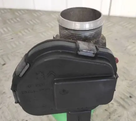 Peugeot Partner Throttle valve 9673534480 28275019