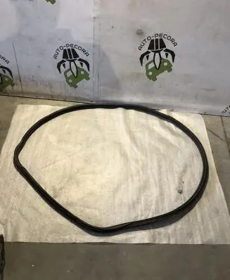 Citroen C3 Front door rubber seal 9813059680