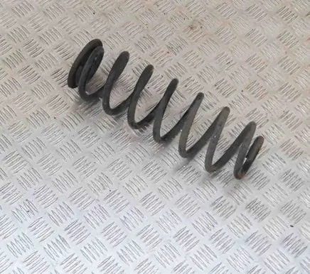Volkswagen PASSAT B6 Rear coil spring
