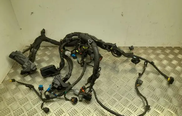 KIA Ceed Engine installation wiring loom 025