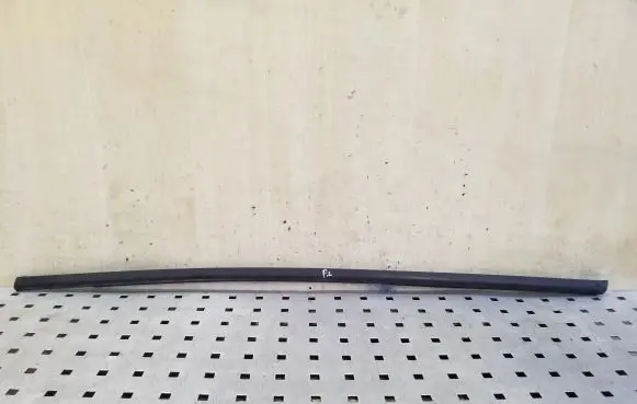 BMW X1 E84 Front door glass trim molding