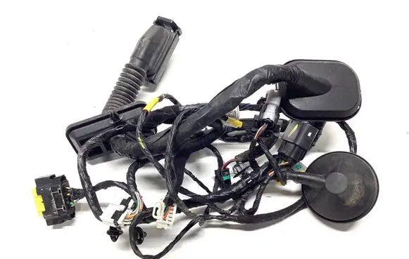 Front door wiring loom