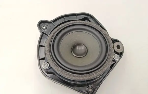 Rear door speaker