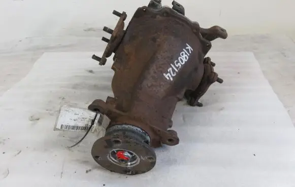 Toyota RAV 4 (XA10) Rear differential
