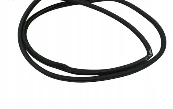 Renault Koleos I Rubber seal front door (on door) 