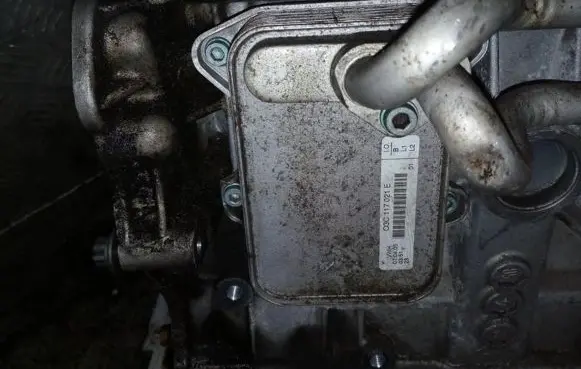 Volkswagen Golf V Engine oil radiator 03c117021e