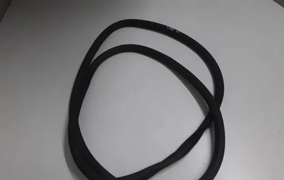 Opel Insignia B Front door rubber seal 13463860