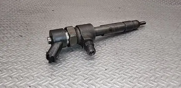 Lancia Phedra Fuel injector 0445110119