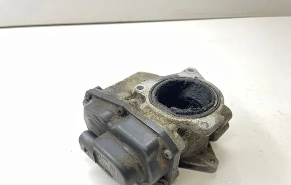 Seat Exeo (3R) EGR valve 03L131501G 31091474