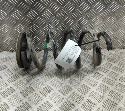 Tesla Model Y Rear coil spring 118847400B