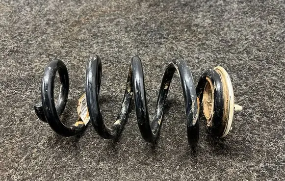 Rear coil spring