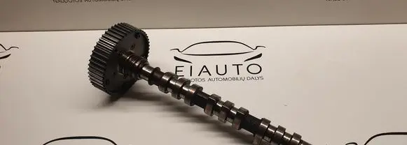 Audi A4 S4 B6 8E 8H Camshaft 06C109083D BB280225