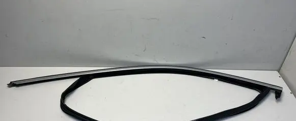 BMW X6 G06 Rubber seal front coupe door 7437771 7446187