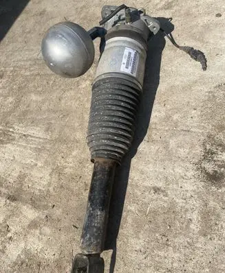 Volkswagen Phaeton Shock absorber/damper/air suspension 3D0616001K