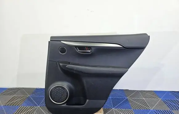 Lexus NX Rear door card panel trim 1C07020545