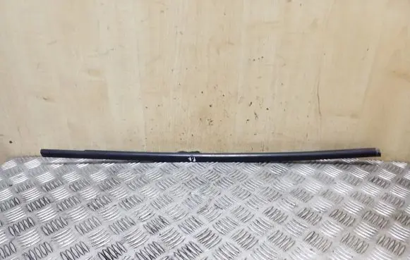BMW X1 E84 Front door glass trim molding
