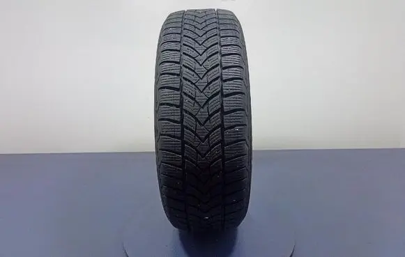 KIA Stonic R17 winter tire 4038526101099