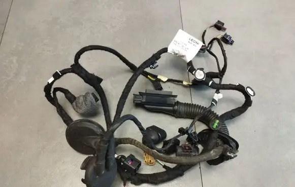 Rear door wiring loom