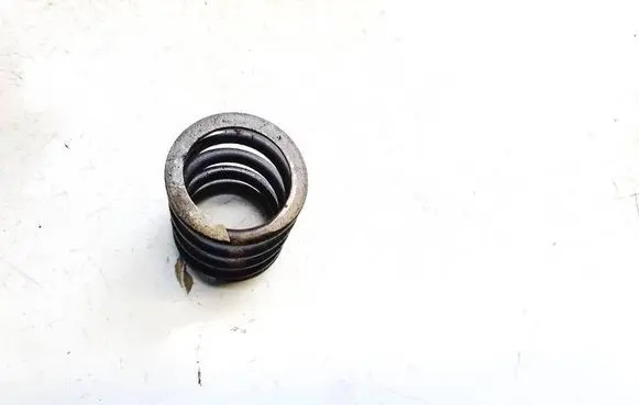 Volkswagen PASSAT B6 Valve spring 