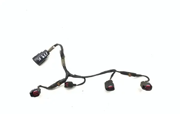 Jaguar S-Type Fuel injector wires 