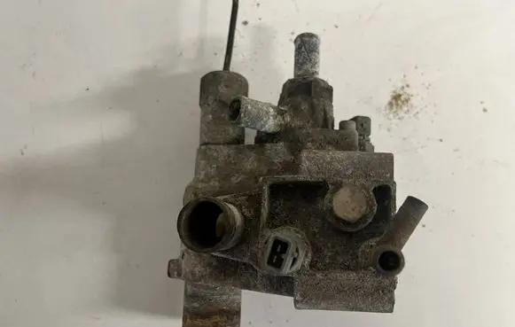 Engine coolant pipe/hose