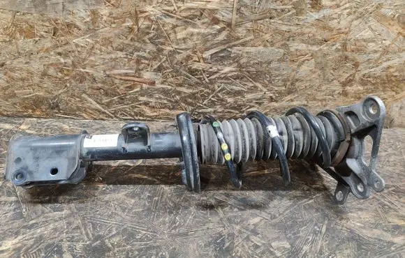 Fiat 500X Rear shock absorber with coil spring 00520490590
