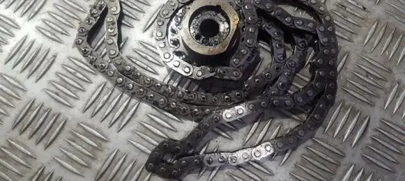 Ford Focus Timing chain (engine) 