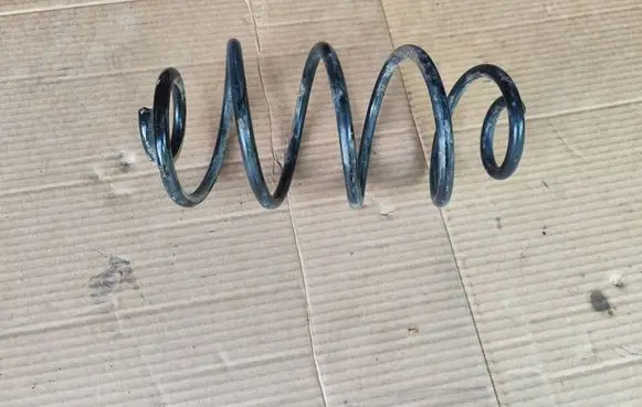 Rear coil spring