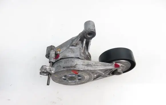 Volkswagen PASSAT B6 Timing belt/chain tensioner 950445