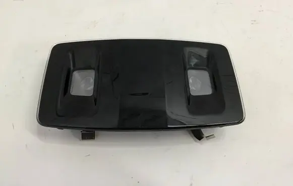 Lexus RX V Rear seat light 1D153105G
